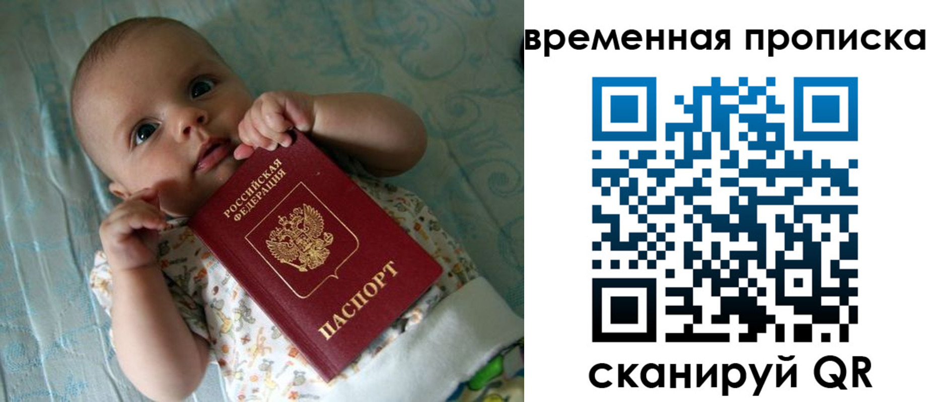 найти адрес прописки в Хвалынске
